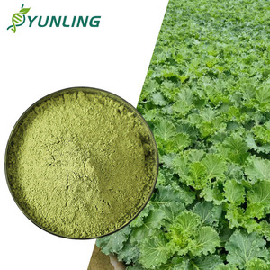 Venta Directa de Fábrica, <span class=keywords><strong>Precio</strong></span> con Descuento, Polvo de Kale Verde Claro para Smoothies y Suplementos, OEM/ODM - Product Image 1
