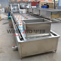 Volautomatische Plantaardige Verwerkingsapparatuur Met Bubbelreiniging
