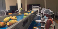Beste Mango Pulp Lijn Maken Systeem Productie Machine Productie Mango Puree Sap Drank Maken Machine