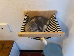 Hamac mural stable en bambou pour chat 2026 – Lits et perchoirs en bois pour chat, meubles muraux pour dormir, jouer et grimper - Product Image 6