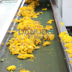 24 Hours Working Continuous Vegetable Parsley Leave Mesh Belt Dryer Vegetable Drying Production <b>Line</b> - Product Image 3