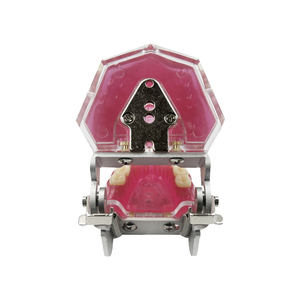<span class=keywords><strong>Modello</strong></span> Anatomico Dentale Standard MX-039 con Denti Rimovibili, Tipo Dentale con Gengive Morbide per Studio, Insegnamento ed Educazione, Dimostrazione in Resina - Product Image 5