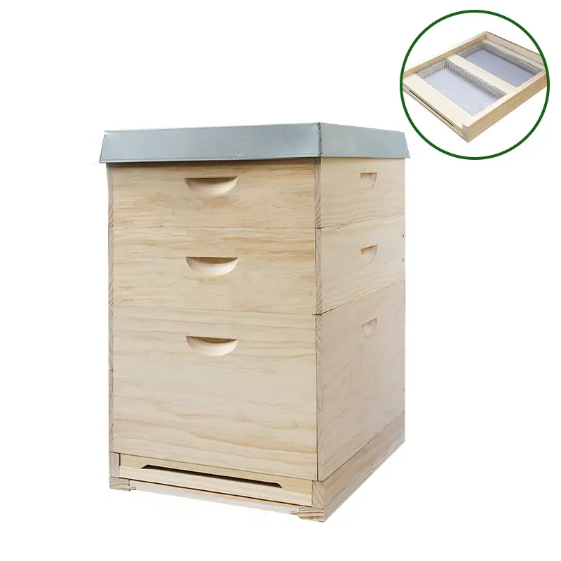 Suministro de fábrica, suministros de apicultura, langstroth DADANT, caja de colmena de abejas, colmena de madera