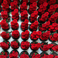 Meilleures ventes Roses éternelles sous cloche en verre - Conservation éternelle Longue durée 3-5 ans Décoration romantique pour la maison Diplôme Noël