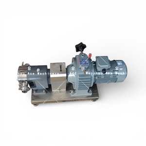 Pompe à lobes rotative sanitaire Ace 1,5 kW en acier inoxydable 304 316L de qualité alimentaire à haute viscosité pour huile et miel - Product Image 5