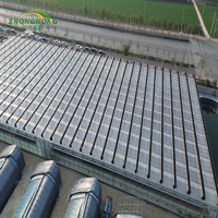 Serre en verre Venlo, système hydroponique, serre à fraises, invernadero avec système d'irrigation