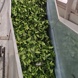 Matcha en Polvo Orgánico Certificado (USDA/UE), Mezcla Definitiva <span class=keywords><strong>Sin</strong></span> Azúcar y <span class=keywords><strong>Sin</strong></span> <span class=keywords><strong>Gluten</strong></span> para Preparar Postres, Té Verde Matcha - Product Image 4