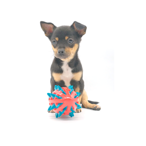 Gıcırtılı Büyük Köpek Isırmaya Dayanıklı TPR Dikenli Top Eğlenceli Dayanıklı Çiğnenebilir Zıplayan Bulmaca Köpek Oyuncağı İnteraktif Eğitim İçin - Product Image 5