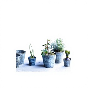 Jardinières en tôle galvanisée pour pot de jardinage à la maison - Product Image 1