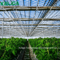 Serre agricole de type toit rétractable serre à toit entièrement ouvert plantation de légumes et de fruits