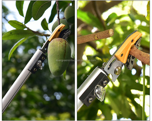 Perche télescopique à poignée longue pour arbre haut <span class=keywords><strong>de</strong></span> gamme, perche pour l'élagage <span class=keywords><strong>de</strong></span> <span class=keywords><strong>fruits</strong></span> - Product Image 2
