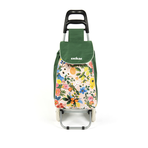Carrito de Compras Excelsa 38 L Multicolor Plegable con Ruedas - Product Image 1