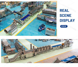 반자동 바나나 칩 절단기 파삭 파삭 한 제조를위한 새로운 조건 과일 생산 라인 프라이어 키 머신 포함 - Product Image 6