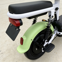 Bicicleta Eléctrica Resistente Momas Little, 60-80V 32Ah, Motor sin Escobillas de Iones de Litio de 1000W, Pantalla LED, Bicicleta Eléctrica Urbana