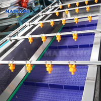Línea de Producción Industrial Completamente Automática para Lavado y Exprimido de Frutas y Verduras, Planta de Procesamiento Completa con Sistema de Pasteurización