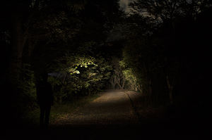 Super brillante de doble combustible 380lm Gen-2 Moonbeam Focus faro portátil IP65 impermeable LED batería paquete 3AAA pilas alcalinas - Product Image 6