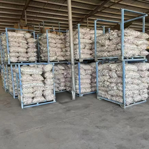 <span class=keywords><strong>Ail</strong></span> blanc normal frais chinois de bonne qualité pour l'Europe Légumes en gros à bas prix Fresque populaire Alho au Brésil - Product Image 5
