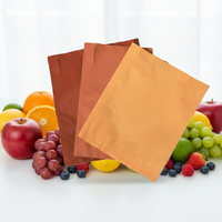 Hoogwaardige milieuvriendelijke Changling fruitbeschermende zakken, wasbehandeld papier, mango-specifieke meshandvatdraadondersteuning, op maat gemaakt