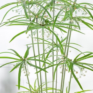 Plante artificielle en pot Cyperus Alternifolius en plastique <span class=keywords><strong>pour</strong></span> la décoration de bureau, de mariage et de la maison, plantes artificielles - Product Image 4