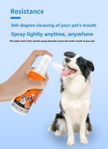 Spray Dental Moderno para Mascotas con Fórmula Comestible que Elimina las Manchas Dentales y el <span class=keywords><strong>Mal</strong></span> <span class=keywords><strong>Aliento</strong></span> para <span class=keywords><strong>Cachorros</strong></span> y Gatitos - Product Image 6