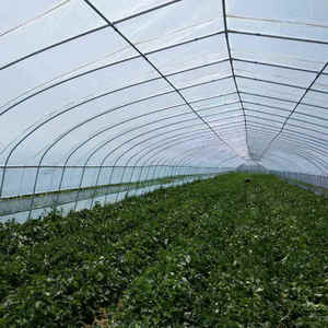 Vente agricole : Serre en polycarbonate pour jardin, culture de champignons à vendre - Product Image 5