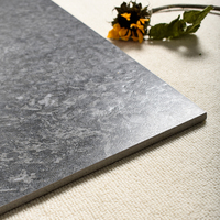 Carreaux de sol en céramique gris mat modernes 600x600, aspect granit, antidérapants, durables, épaisseur 9 mm, faible absorption d'eau, minimalistes