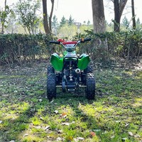 Quad chinois populaire et économique, 2 temps, 4 roues, mini moto 50cc, transmission automatique par chaîne