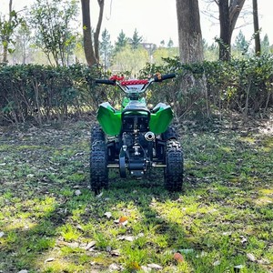 <span class=keywords><strong>Quad</strong></span> <span class=keywords><strong>chinois</strong></span> populaire et économique, 2 temps, 4 roues, mini moto <span class=keywords><strong>50cc</strong></span>, transmission automatique par chaîne - Product Image 5