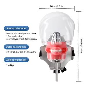 Prix de gros modèle de tête simple modèle de dents de simulateur pour l'enseignement dentaire enseigner l'étude - Product Image 4