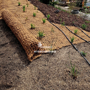 Geotextil de Fibra de Coco Sostenible para Proyectos de Revegetación con Excelentes Propiedades de Retención de Humedad - Product Image 5