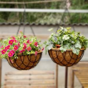 <span class=keywords><strong>Maceta</strong></span> de hierro con orquídea colgante de palma de coco, cesta colgante de eneldo verde para columna de balcón, paquete de <span class=keywords><strong>maceta</strong></span> colgante de eneldo verde - Product Image 1