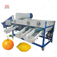 Sorteer Fruit Op Maat Industriële Sinaasappel Citrus Sortering Grader Fruit Limoen Sorteermachine Citroensorteermachine
