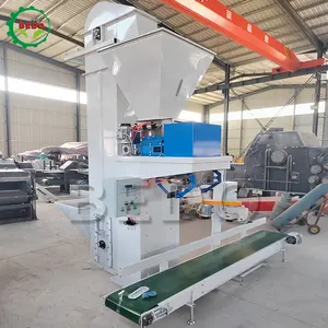 Automatic Pouch Packing machine Pellet Bag Packing Machine Grain Packing Machine