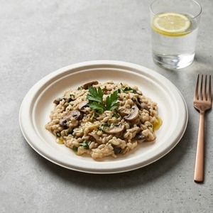 Assiette en bagasse de canne à sucre biodégradable et écologique de 10 pouces, robuste, compostable, jetable, compatible micro-ondes, pour les fêtes - Product Image 4
