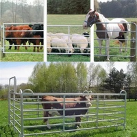 Corral de chevaux galvanisé portable à usage intensif personnalisable pour bétail vache mouton chèvre clôture de ferme australienne moderne en acier au carbone 3D