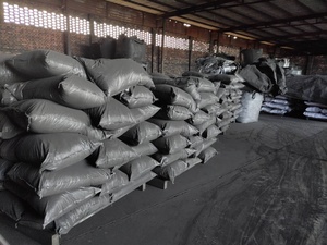 Vỏ Dừa Kích Hoạt Vỏ Dừa Hấp Thụ Vàng Quy Trình Bột Giấy ZHULIN - Product Image 3