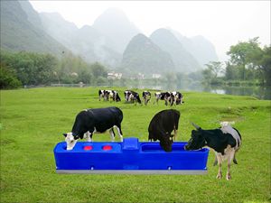 <span class=keywords><strong>Abreuvoir</strong></span> <span class=keywords><strong>rectangulaire</strong></span> pour bovins <span class=keywords><strong>Abreuvoir</strong></span> pour animaux <span class=keywords><strong>Abreuvoir</strong></span> chauffant en <span class=keywords><strong>plastique</strong></span> pour animaux - Product Image 6