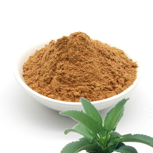 Extrait de <span class=keywords><strong>Kalanchoe</strong></span> <span class=keywords><strong>Pinnata</strong></span> en poudre, qualité alimentaire, emballé sous vide dans un récipient en plastique, provenant directement de l'usine, extrait végétal organique miracle - Product Image 2