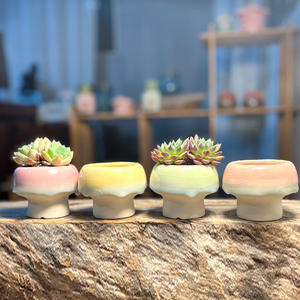 Jardinières en céramique pour plantes succulentes, décoration créative pour la maison, ornements, glaçure fluide, petits pots en forme de champignon, pots à glace craquelée pour <span class=keywords><strong>Lithops</strong></span> - Product Image 1