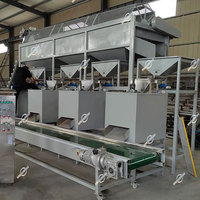 Chine Usine Équipement Ligne de production Pistache Noix Graines de sésame Cacahuète Amande Noisette Macadamia Machine de traitement