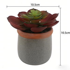 Suculenta Artificial Realista <span class=keywords><strong>de</strong></span> <span class=keywords><strong>Echeveria</strong></span> en Maceta <span class=keywords><strong>de</strong></span> Cerámica Gris <span class=keywords><strong>de</strong></span> 10.5 cm, Bonsái Artificial para Decoración <span class=keywords><strong>de</strong></span> Escritorio <span class=keywords><strong>de</strong></span> Oficina en Casa - Product Image 6