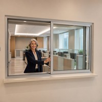 Fenêtre coulissante en alliage à une seule vitre, économique, hermétique, simple, pour appartement, avec luminosité optimale et économie d'énergie