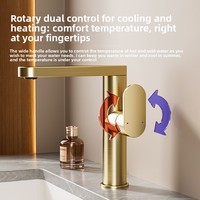 Keran wastafel dek tunggal modern minimalis berbahan paduan seng anodized warna tembaga abu-abu tua dengan katup keramik dan tuas panas-dingin.