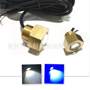 ไฟ LED สีขาว กันน้ำ ทองเหลือง NPT1/2-14 ปลั๊กระบายน้ำสำหรับเรือยอชท์ ไฟสระว่ายน้ำ - Product Image 2