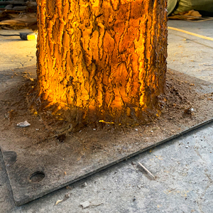 Sợi thủy tinh Vàng Nhân Tạo <span class=keywords><strong>Ginkgo</strong></span> <span class=keywords><strong>Tree</strong></span> để bán LED thắp sáng <span class=keywords><strong>Ginkgo</strong></span> <span class=keywords><strong>Biloba</strong></span> cây lớn nhân tạo cây trang trí - Product Image 5