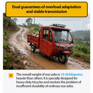 Triciclo Eléctrico de Carga Pesada para Adultos con Cabina Cerrada de 3 Ruedas - Precio Económico - Product Image 5