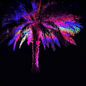 Projecteur d'éclairage d'arbre RGBW pour parcs, stations balnéaires, hôtels, jardins, zones scéniques et projets d'éclairage paysager programmables - Product Image 1