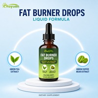 OEM Natural Slim Fast Brûleur de Graisse Liquide en Gouttes 60ml Gouttes Orales Extrait de Thé Vert Grains de Café Vert Extraits Herbacés Perte de Poids Adultes