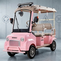 Mini-bus électrique léger et durable à quatre roues pour personnes âgées, idéal pour les parcs, les stations balnéaires et les visites touristiques, utilisable en toutes saisons