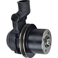 Pièce de machine agricole 3641832M91 / 1206-6202P Pompe à eau pour tracteurs MasseyFerguson
